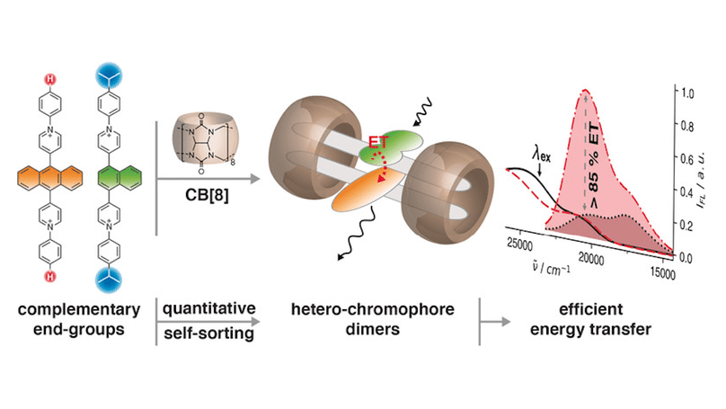Quantitative Supramolecular Heterodimerization for Efficient Energy Transfer