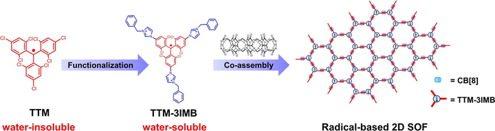 Beyond Rigid Frameworks: A Dynamic 2D Supramolecular Organic Network of Luminescent Radicals in Water