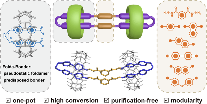 One-Pot 'Click' Synthesis of Ring-in-Rings Complexes with Customizable π-Stacked Dyads