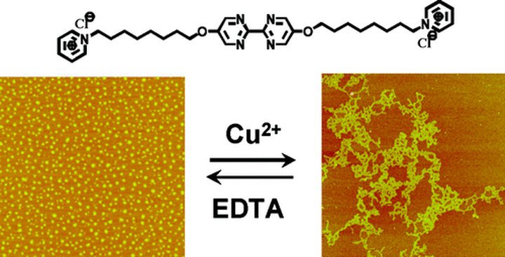 Metal- ligand coordination-induced self-assembly of bolaamphiphiles bearing bipyrimidine