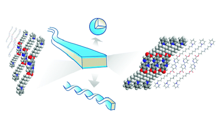 Bolaamphiphiles bearing bipyridine as mesogenic core: rational exploitation of molecular architectures for controlled self-assembly