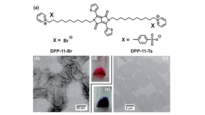 Controlling the self-assembly of cationic bolaamphiphiles: hydrotropic counteranions determine aggregated structures