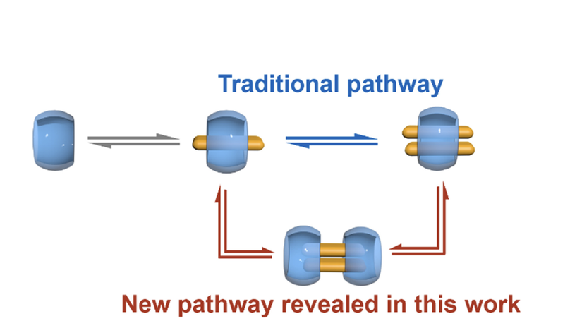 Quaternary 2:2 Complexes as Kinetic Intermediates: Unveiling an Overlooked Pathway in Cucurbit[8]uril-Mediated Assembly