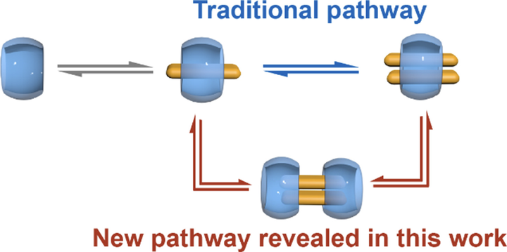 Quaternary 2:2 Complexes as Kinetic Intermediates: Unveiling an Overlooked Pathway in Cucurbit[8]uril-Mediated Assembly