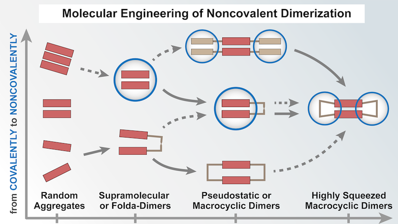 Molecular Engineering of Noncovalent Dimerization