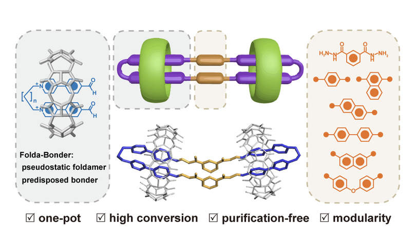 One-Pot 'Click' Synthesis of Ring-in-Rings Complexes with Customizable π-Stacked Dyads