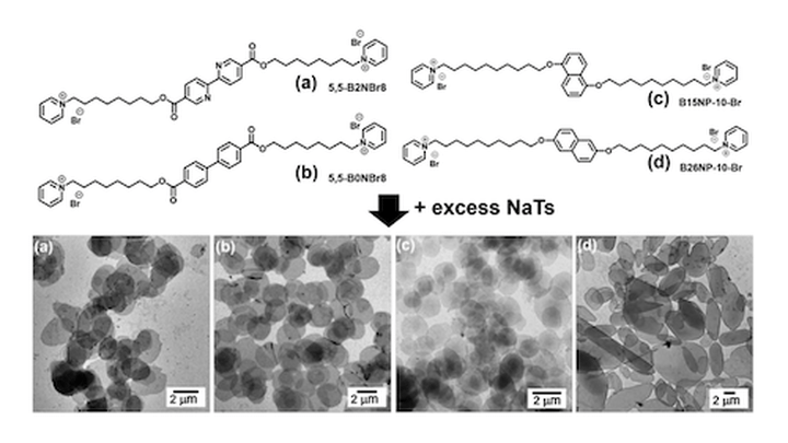 Controlling the self-assembly of cationic bolaamphiphiles: counterion-directed transitions from 0D/1D to exclusively 2D planar structures